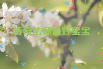 传奇法师最好宝宝