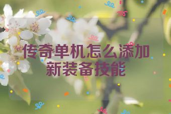 传奇单机怎么添加新装备技能