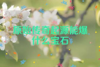 原始传奇起源能爆什么宝石