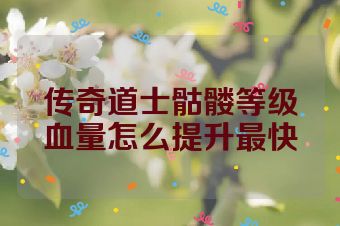 传奇道士骷髅等级血量怎么提升最快