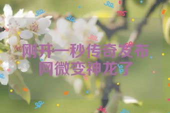 刚开一秒传奇发布网微变神龙了