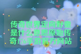 传奇世界定向野蛮是什么意思原始传奇176手游官方网站