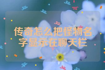 传奇怎么把怪物名字显示在聊天栏
