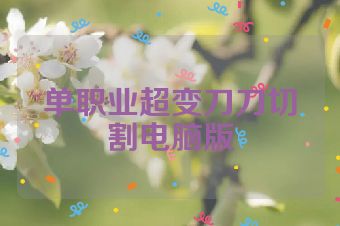 单职业超变刀刀切割电脑版