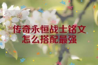 传奇永恒战士铭文怎么搭配最强