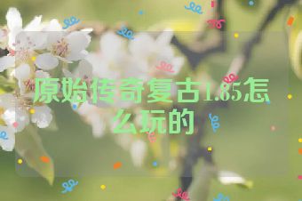 原始传奇复古1.85怎么玩的