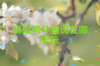 热血格斗传说在哪里玩