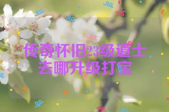 传奇怀旧23级道士去哪升级打宝