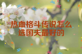 热血格斗传说怎么选国夫最好的