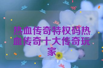热血传奇特权码热血传奇十大传奇玩家