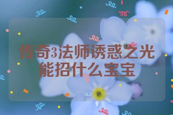 传奇3法师诱惑之光能招什么宝宝