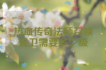 热血传奇法师召唤虎卫需要多少级