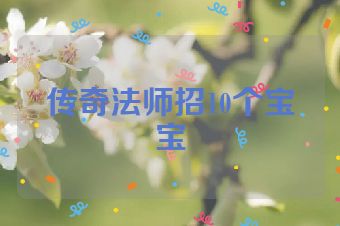 传奇法师招10个宝宝