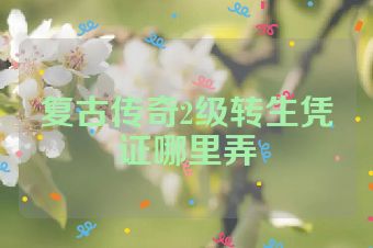 复古传奇2级转生凭证哪里弄
