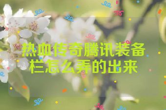 热血传奇腾讯装备栏怎么弄的出来
