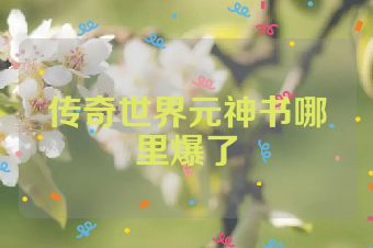 传奇世界元神书哪里爆了