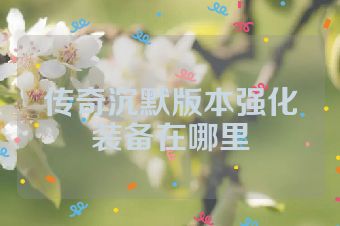 传奇沉默版本强化装备在哪里