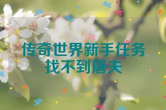 传奇世界新手任务找不到屠夫