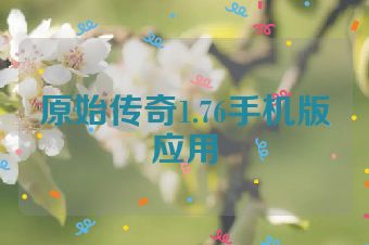 原始传奇1.76手机版应用