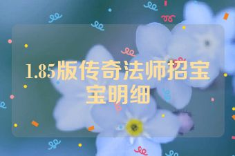 1.85版传奇法师招宝宝明细