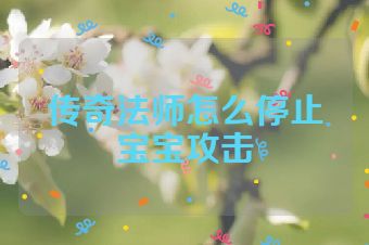 传奇法师怎么停止宝宝攻击