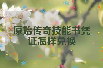 原始传奇技能书凭证怎样兑换