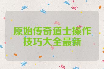 原始传奇道士操作技巧大全最新