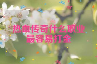 热血传奇什么职业最容易打金