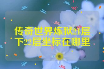 传奇世界炼狱21层下22层坐标在哪里