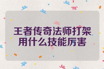 王者传奇法师打架用什么技能厉害