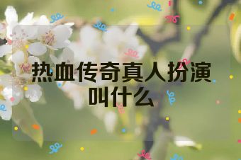热血传奇真人扮演叫什么