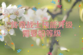 传奇战士技能升级需要的等级