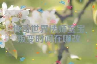 传奇世界法师宝宝叛变时间在哪改