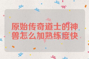 原始传奇道士的神兽怎么加熟练度快