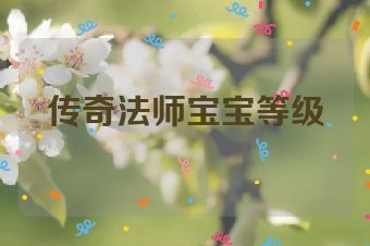 传奇法师宝宝等级
