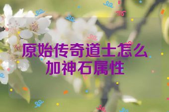 原始传奇道士怎么加神石属性