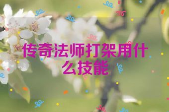 传奇法师打架用什么技能