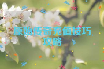 原始传奇充值技巧攻略