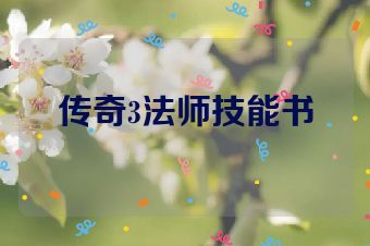 传奇3法师技能书