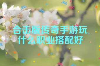 合击版传奇手游玩什么职业搭配好