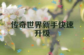 传奇世界新手快速升级