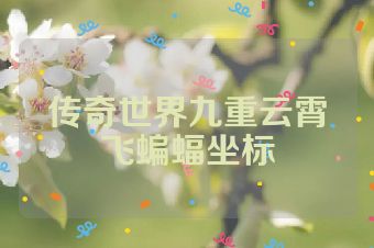 传奇世界九重云霄飞蝙蝠坐标