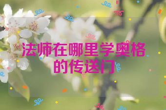 法师在哪里学奥格的传送门