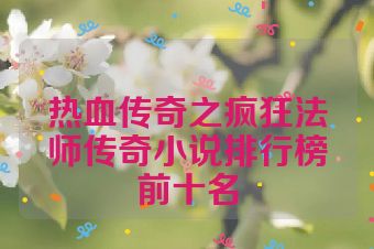 热血传奇之疯狂法师传奇小说排行榜前十名