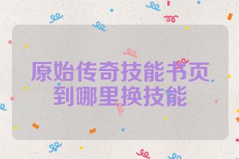 原始传奇技能书页到哪里换技能