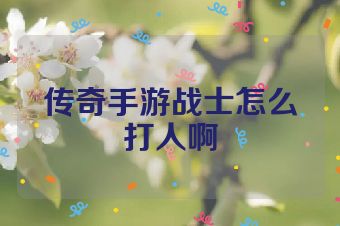 传奇手游战士怎么打人啊
