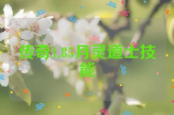 传奇1.85月灵道士技能