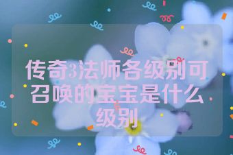 传奇3法师各级别可召唤的宝宝是什么级别