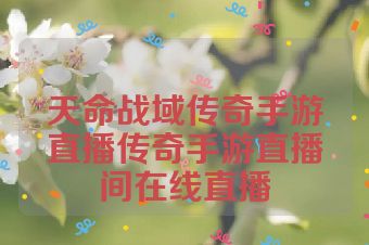 天命战域传奇手游直播传奇手游直播间在线直播