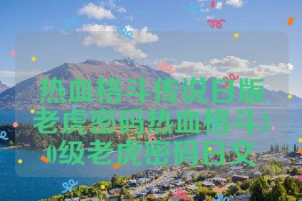 热血格斗传说日版老虎密码热血格斗30级老虎密码日文